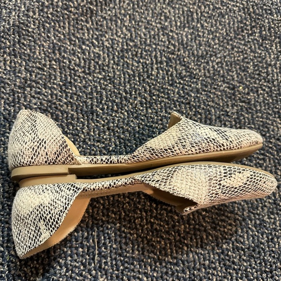 Restricted Women's Snakeskin Flats - Black and Cream - Picture 6 of 6